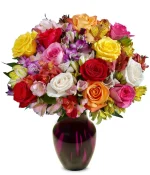 Premium Bright & Sunny Roses