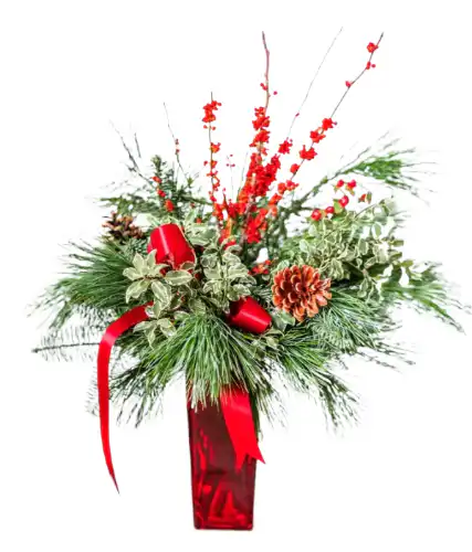Bountiful-Evergreen-Boughs-600x701-fotor-bg-remover-2025101115185