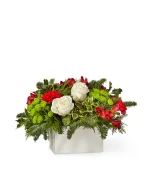 Evergreen Charm