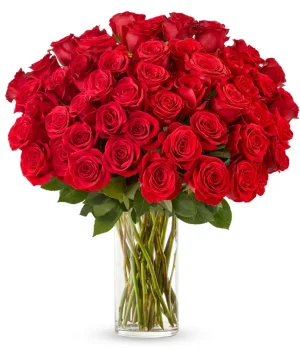 50 Stunning Long Stemmed Red Roses