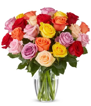 Rainbow Roses