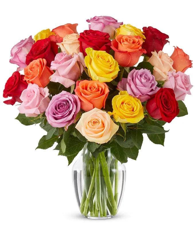 Rainbow Roses 1 Rainbow Roses