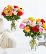 Rainbow Birthday Roses