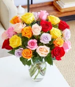 Rainbow Roses