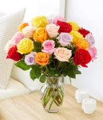 Rainbow Roses