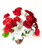Scarlet Enchantment