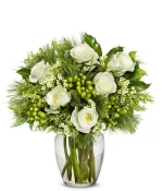 Snowy Christmas Rose