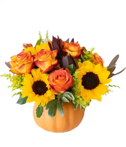 Sunny-Fall-Pumpkin-3-600x701-fotor-bg-remover-20251011154232 Cranberry Safari Sunsets